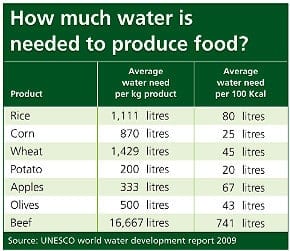 Table showing average water need per kg product for foods such as rice, potatoes and beef